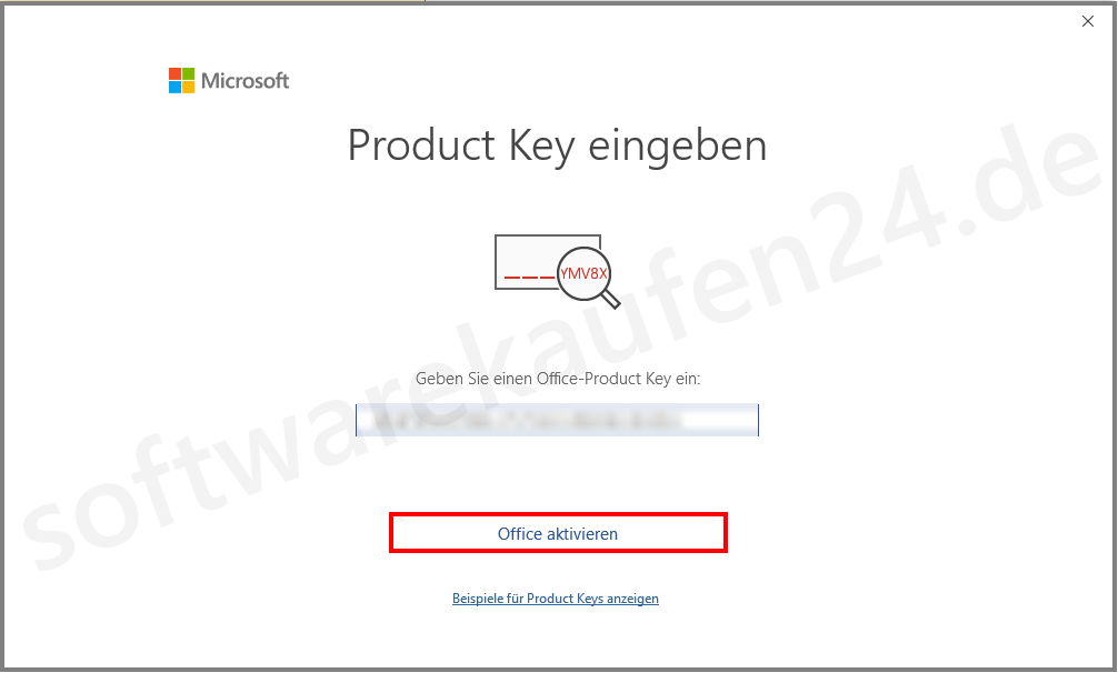 office_2021_Installation_12_swk.png