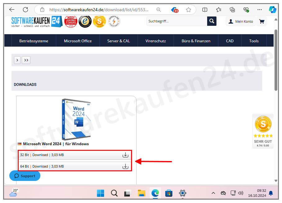 Office_2024_Einzel_swk_1.PNG