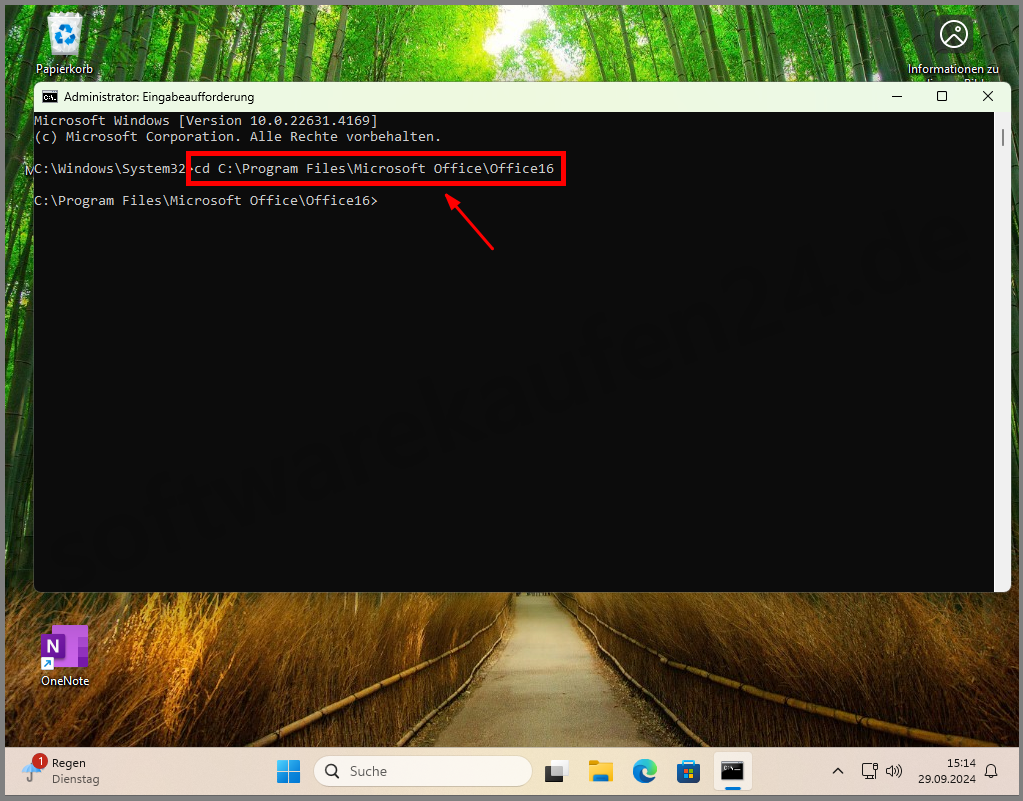 Office_über_CMD_Aktivieren_SWK4.png