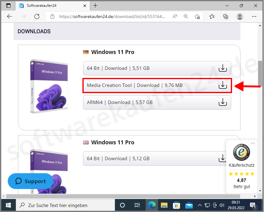 Windows_11_USB_1_swk.png